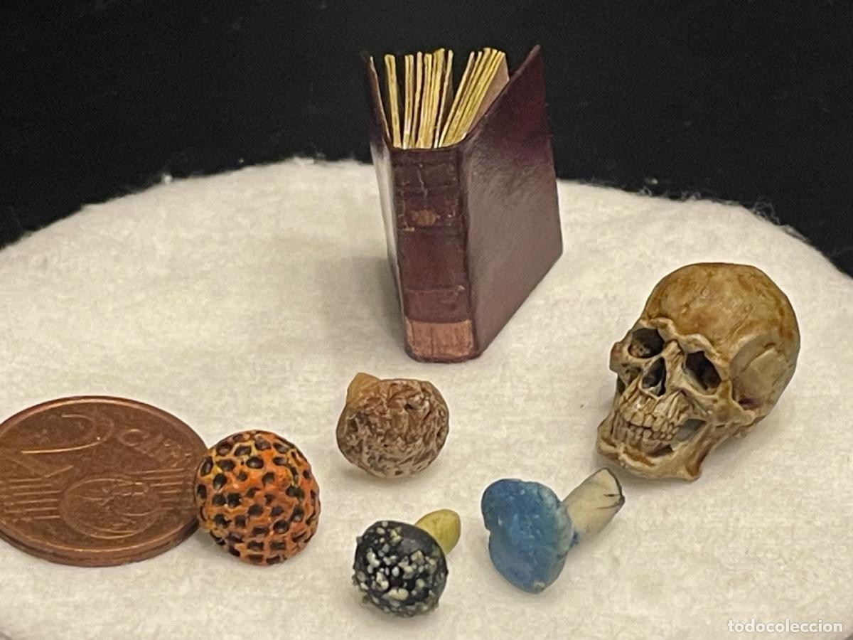 Casas de mu&ntilde;ecas: Calavera con setas venenosas y libro en miniatura - Foto 3