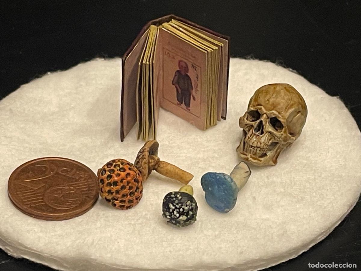 Casas de mu&ntilde;ecas: Calavera con setas venenosas y libro en miniatura - Foto 4