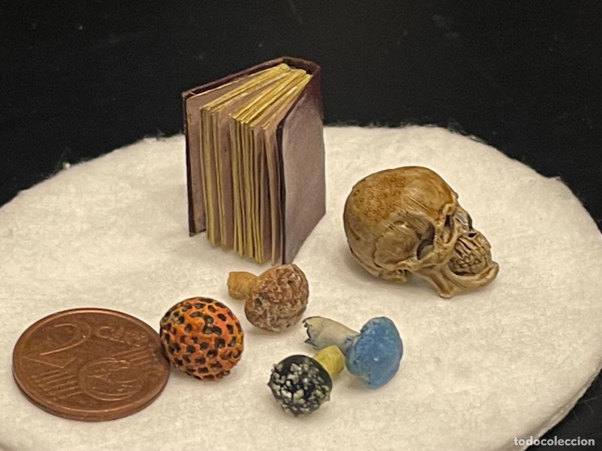 Casas de mu&ntilde;ecas: Calavera con setas venenosas y libro en miniatura - Foto 5