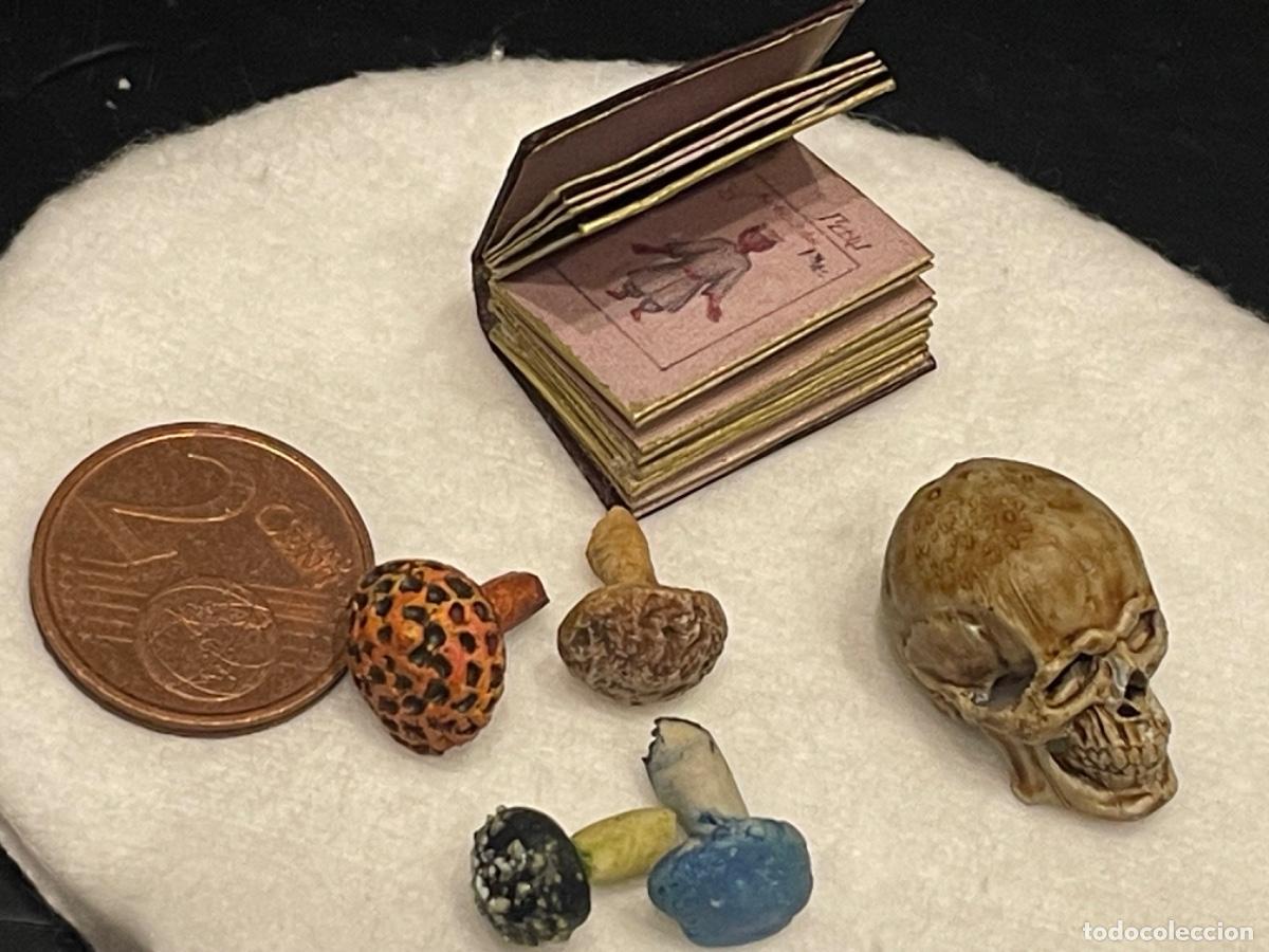Casas de mu&ntilde;ecas: Calavera con setas venenosas y libro en miniatura - Foto 6