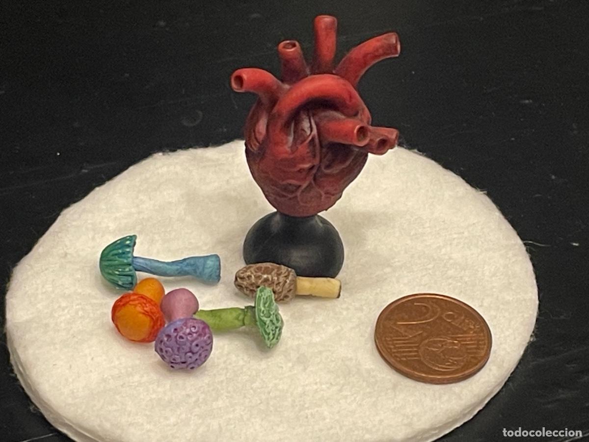 Casas de mu&ntilde;ecas: Un coraz&oacute;n y espeluznantes setas venenosas - Foto 1