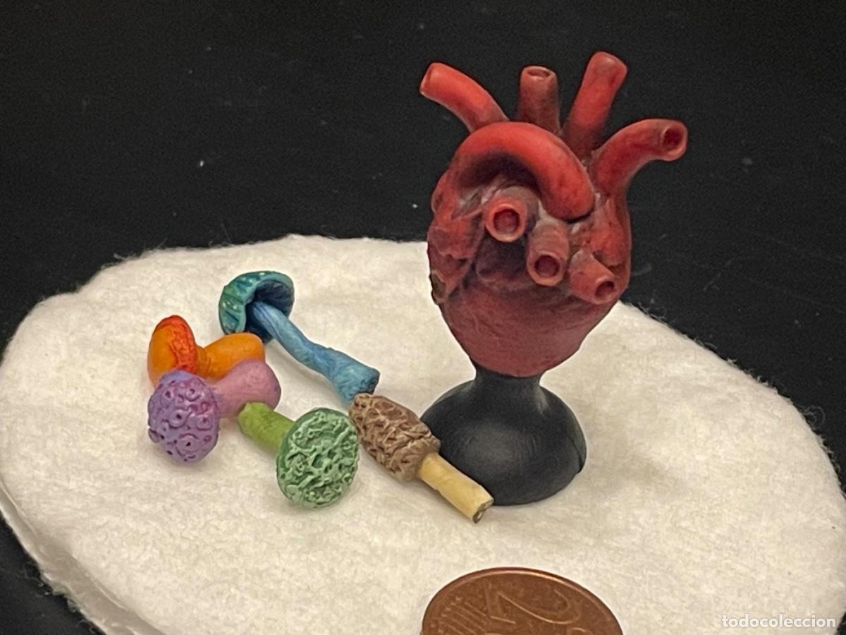 Casas de mu&ntilde;ecas: Un coraz&oacute;n y espeluznantes setas venenosas - Foto 2
