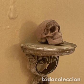 Casas de mu&ntilde;ecas: Repisa con calavera miniatura de brujas - Foto 13