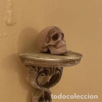 Casas de mu&ntilde;ecas: Repisa con calavera miniatura de brujas - Foto 16