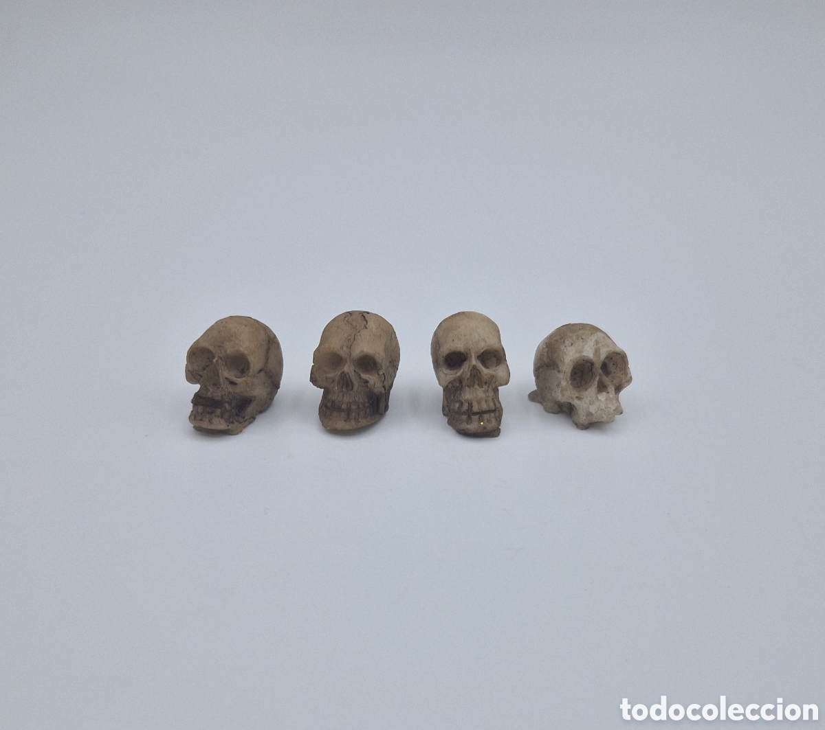 Casas de mu&ntilde;ecas: 4 Craneos Miniatura 1/12
