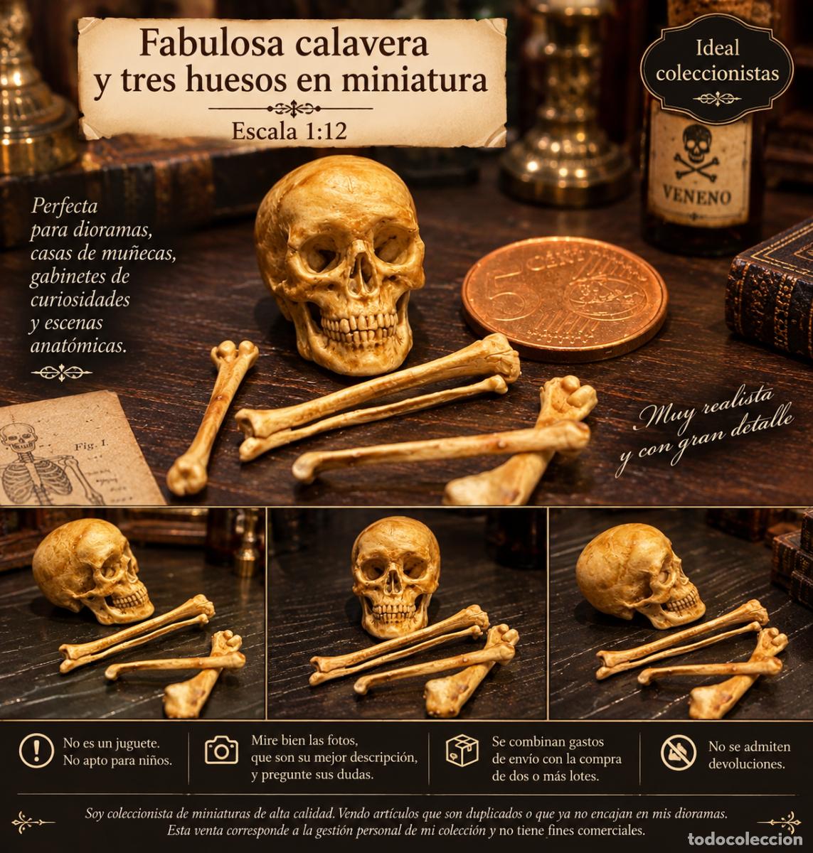 Casas de mu&ntilde;ecas: Calavera y huesos en miniatura - Foto 2