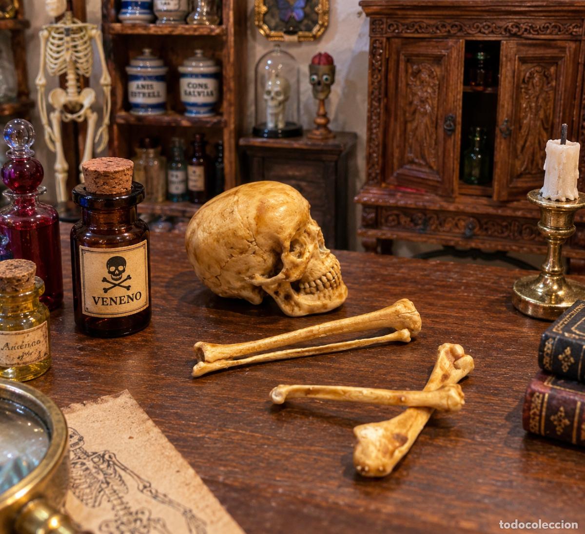 Casas de mu&ntilde;ecas: Calavera y huesos en miniatura - Foto 3