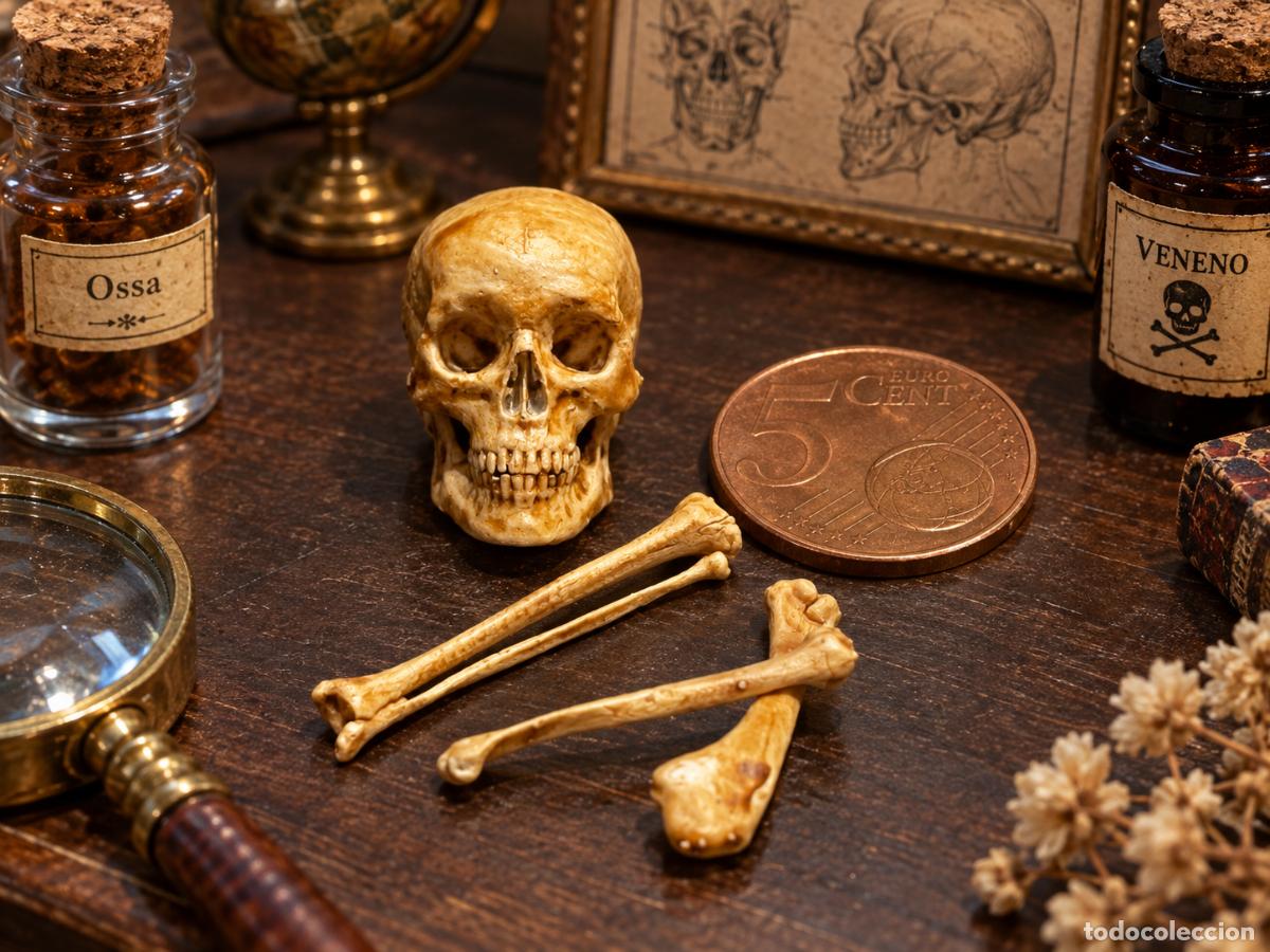 Casas de mu&ntilde;ecas: Calavera y huesos en miniatura - Foto 5