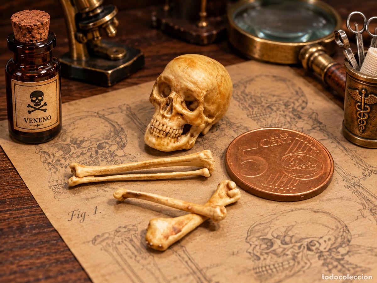 Casas de mu&ntilde;ecas: Calavera y huesos en miniatura - Foto 6