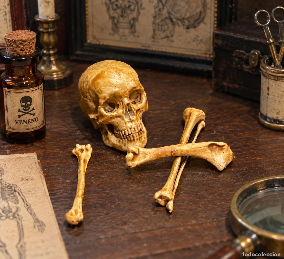 Casas de mu&ntilde;ecas: Calavera y huesos en miniatura - Foto 7