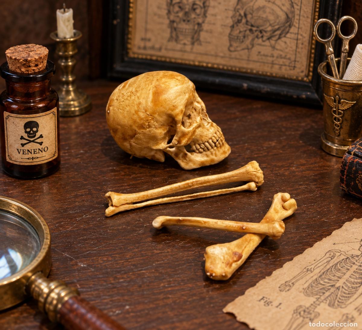 Casas de mu&ntilde;ecas: Calavera y huesos en miniatura - Foto 8