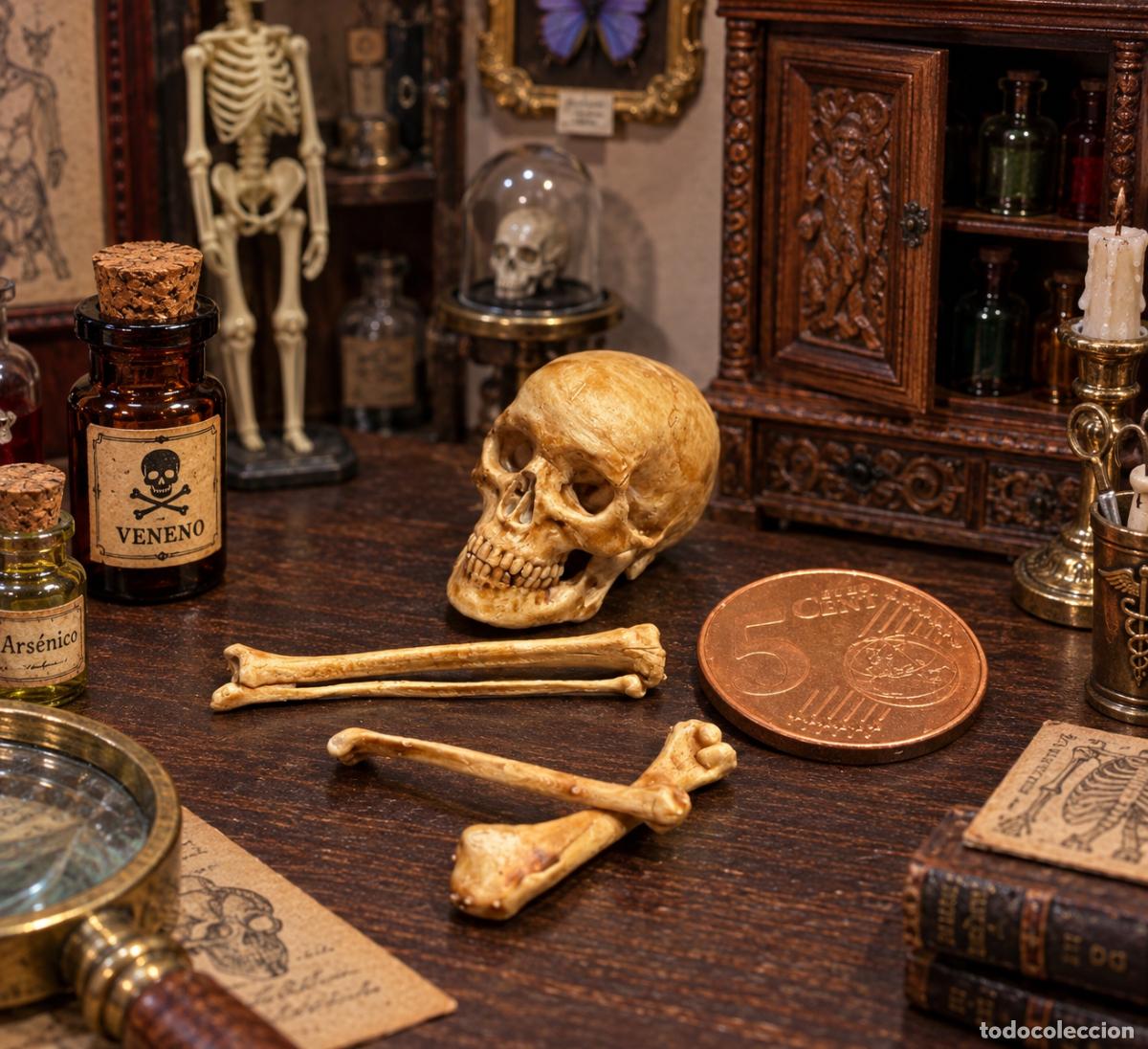 Casas de mu&ntilde;ecas: Calavera y huesos en miniatura - Foto 9