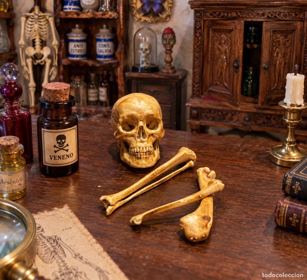 Doll houses: Calavera y huesos en miniatura
