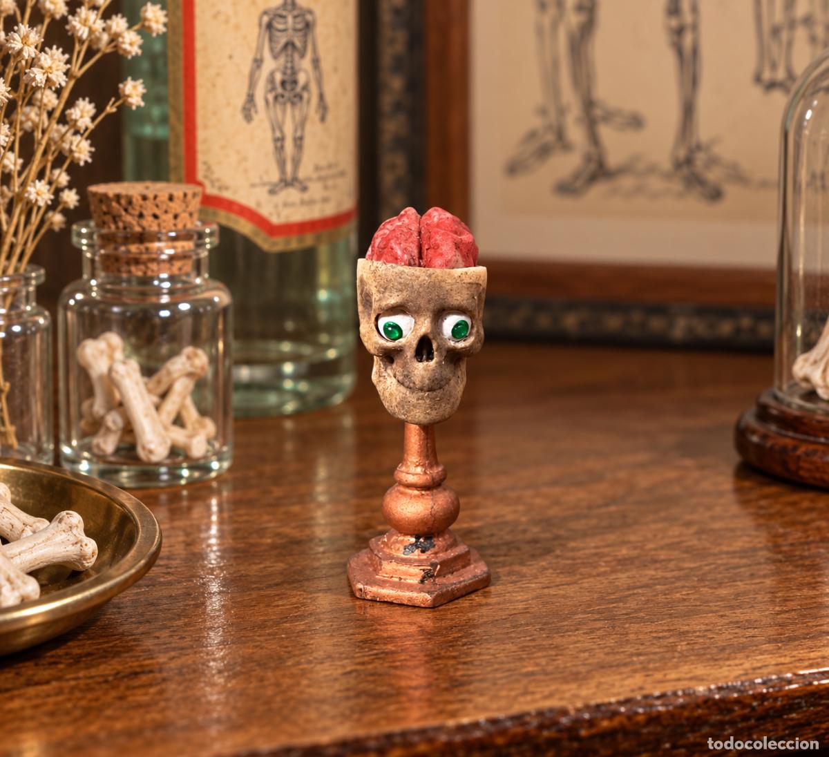 Maisons de Poup&eacute;es: Calavera con cerebro en miniatura para casa de mu&ntilde;ecas