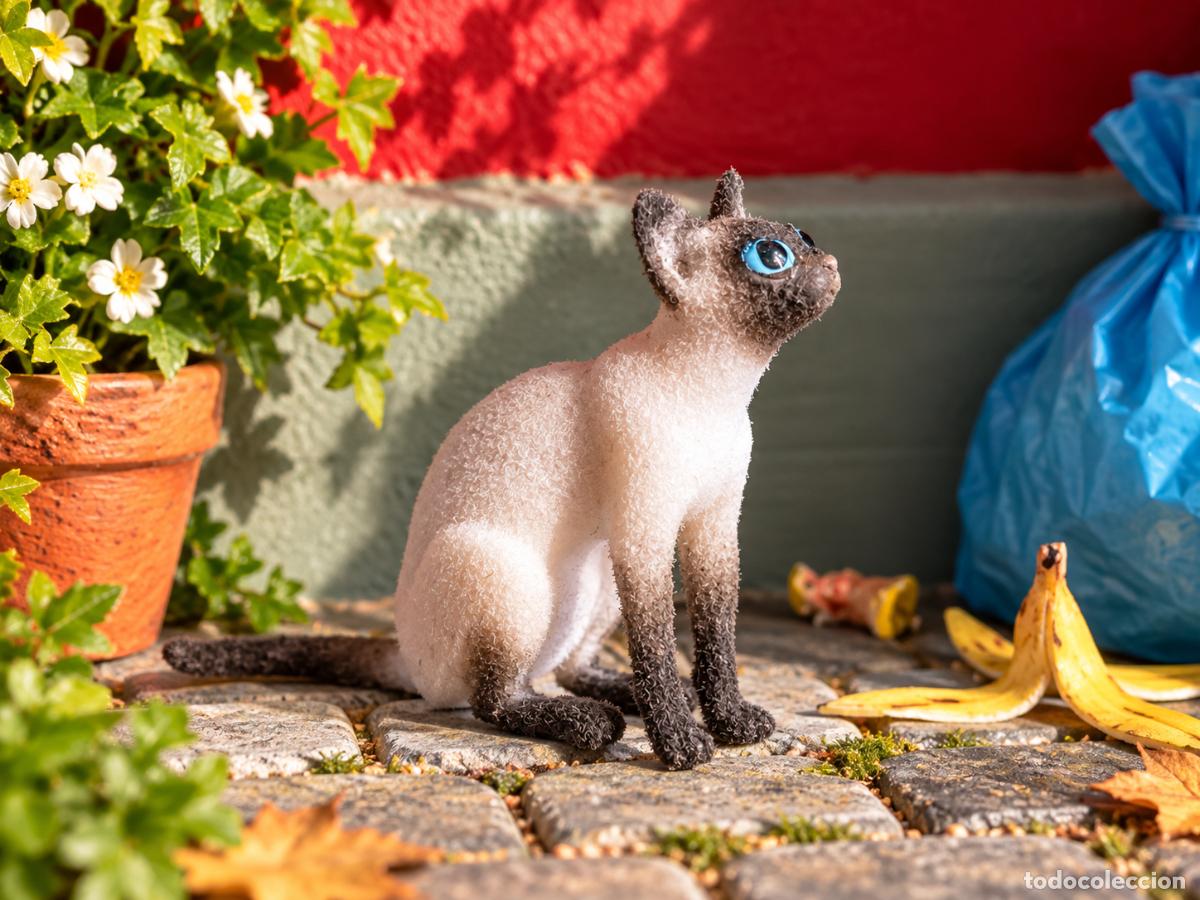 Casas de mu&ntilde;ecas: Gato sentado en miniatura casa de mu&ntilde;ecas
