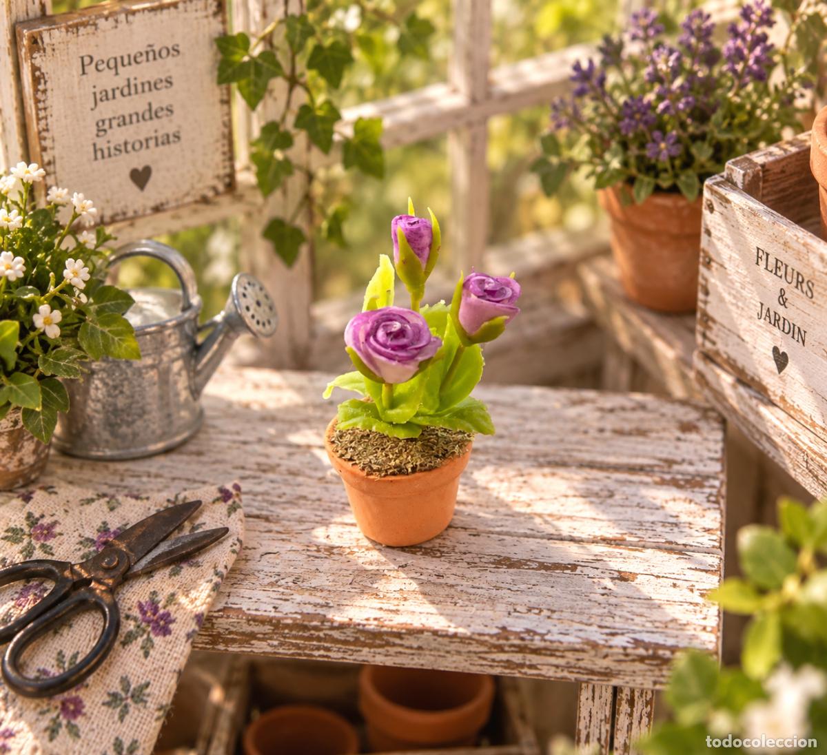Maisons de Poup&eacute;es: Peque&ntilde;o rosal morado en maceta de barro miniatura casa de mu&ntilde;ecas