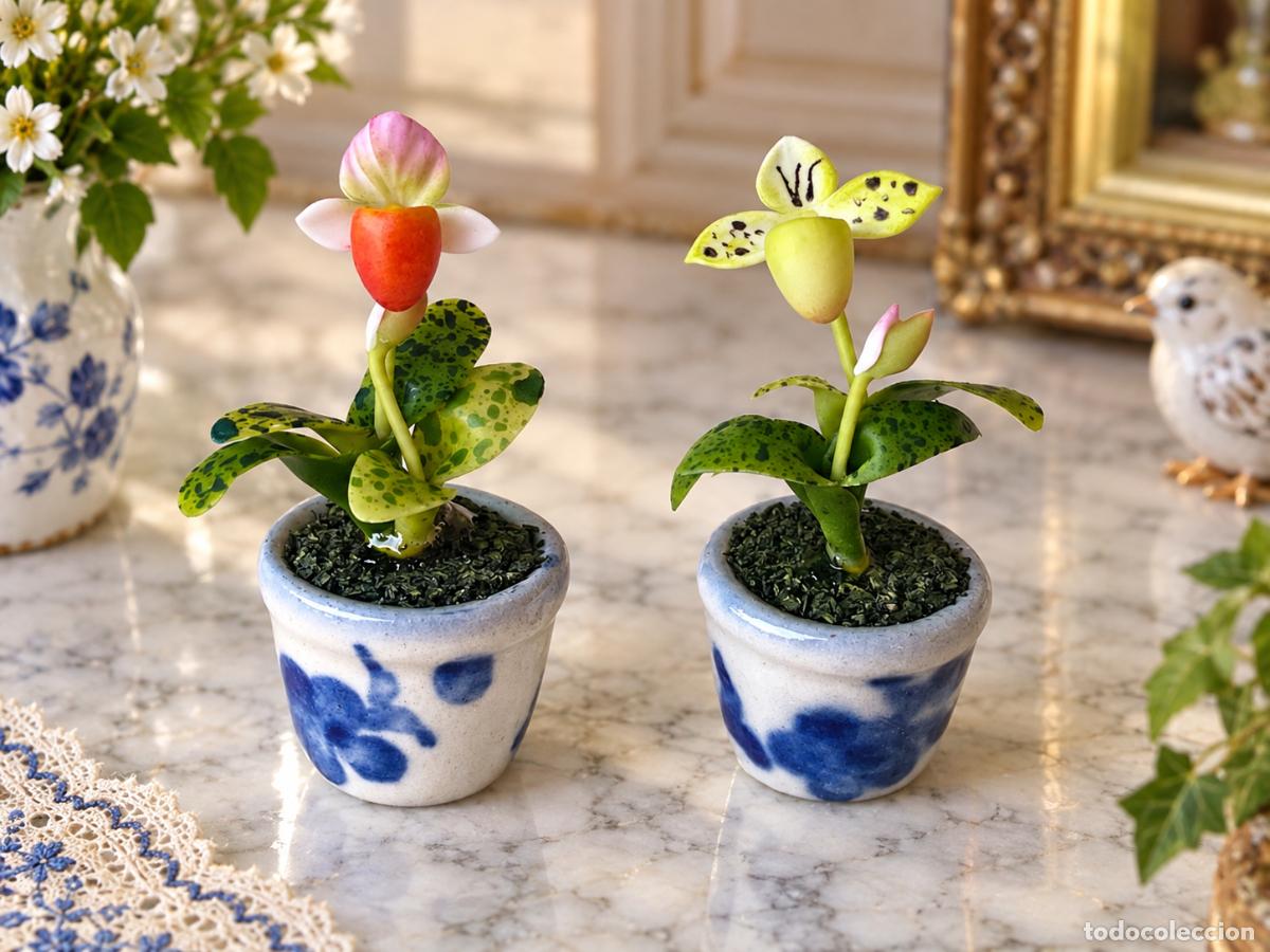 Casas de mu&ntilde;ecas: Macetas con orqu&iacute;deas miniatura casa de mu&ntilde;ecas