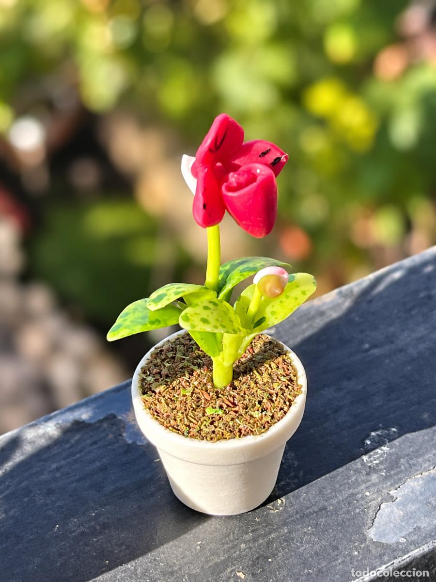 Casas de mu&ntilde;ecas: Flor granate en miniatura casa de mu&ntilde;ecas - Foto 8