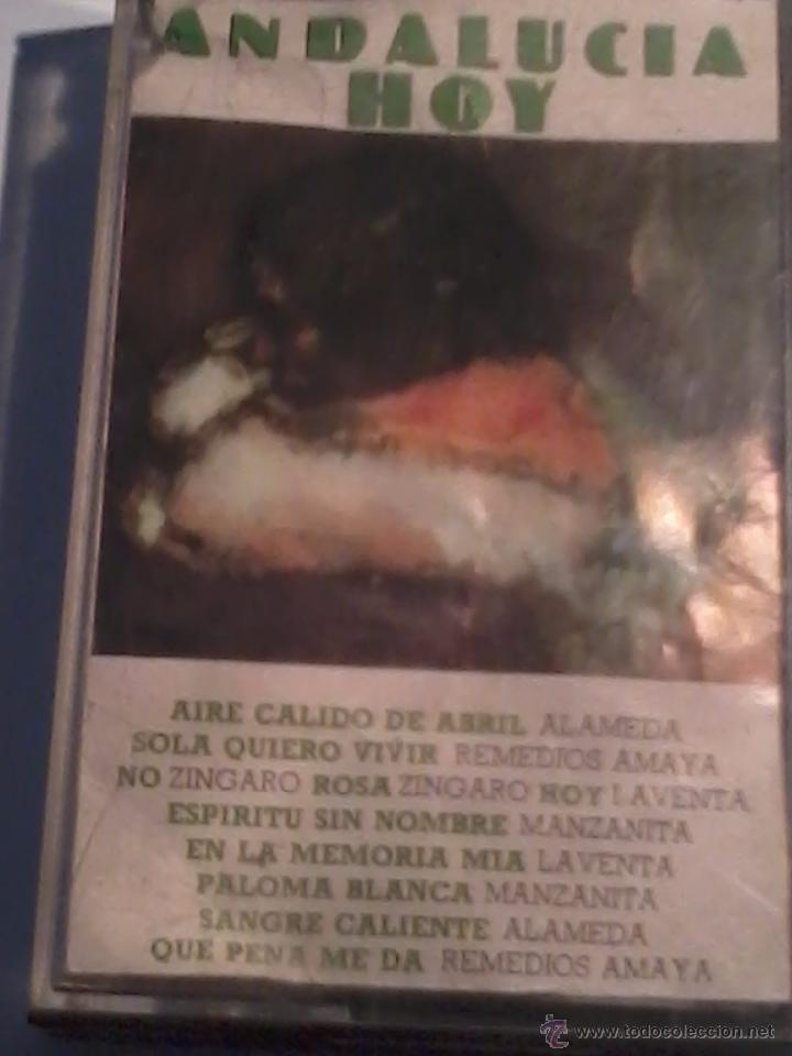 Casetes antiguos: CASET. ANDALUCIA HOY. C17F - Foto 1