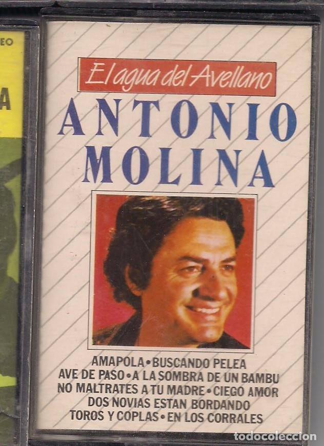 Casetes antiguos: Antonio Molina El agua del avellano - Foto 1