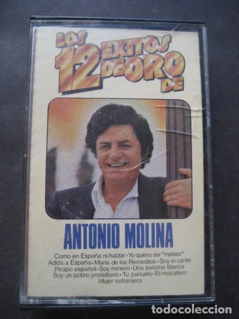 Casetes antiguos: ANTONIO MOLINA . LOS 12 EXITOS DE ORO. PERFIL 1985 - Foto 1