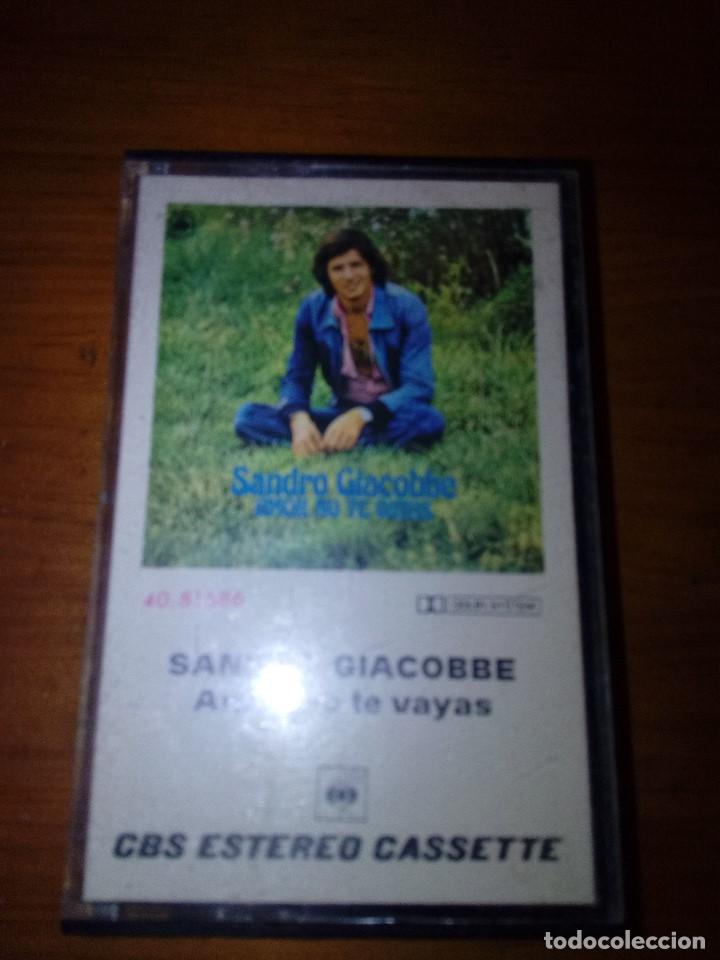 Casetes antiguos: SANDRO GIACOBBE. AMOR NO TE VAYAS. C19F - Foto 1