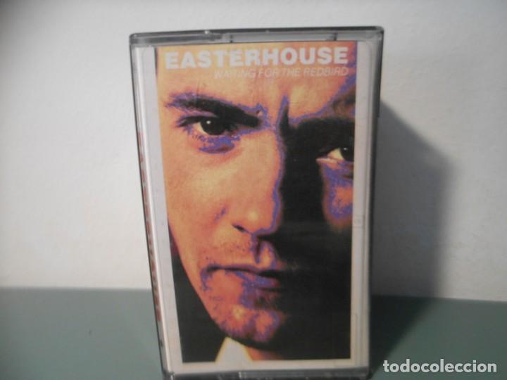 Casetes antiguos: EASTERHOUSE - WAITING FOR THE REDBIRD - Foto 1
