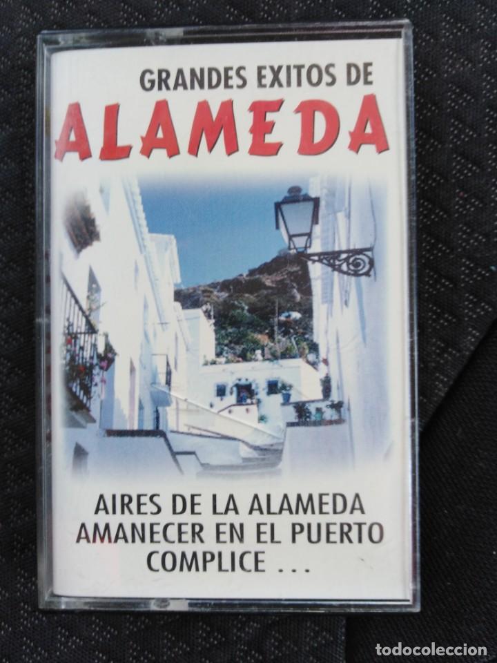 Casetes antiguos: GRANDES &Eacute;XITOS DE ALAMEDA - Foto 1