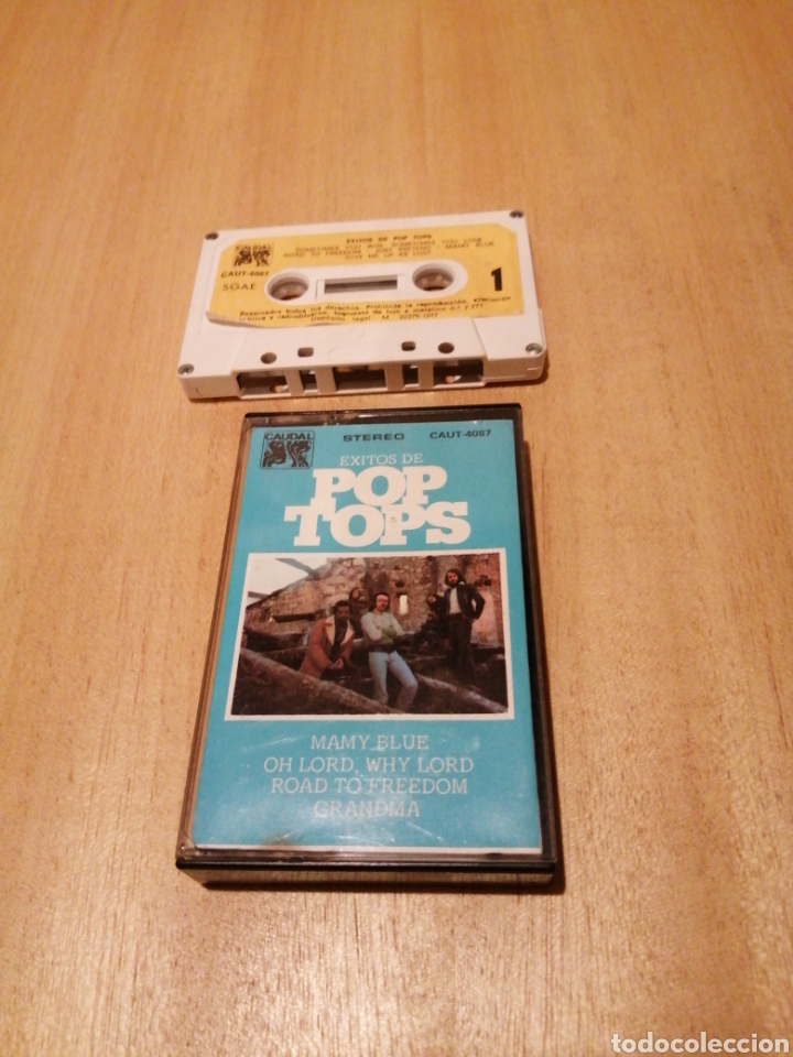 Casetes antiguos: Pop Tops. &Eacute;xitos de.. - Foto 1