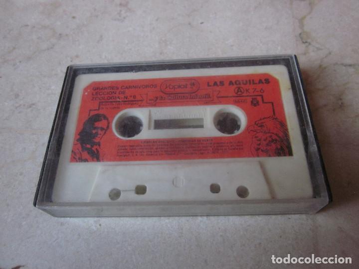 Casetes antiguos: RODRIGUEZ DE LA FUENTE - GRANDES CARN&Iacute;VOROS LECCI&Oacute;N DE ZOOLOG&Iacute;A N&ordm; 6 CASETE - YOPLAIT 1979