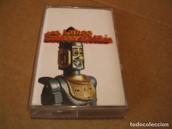 Casetes antiguos: LOS LOBOS CASSETTE COLOSSAL HEAD EUROPA 1996 - Foto 1