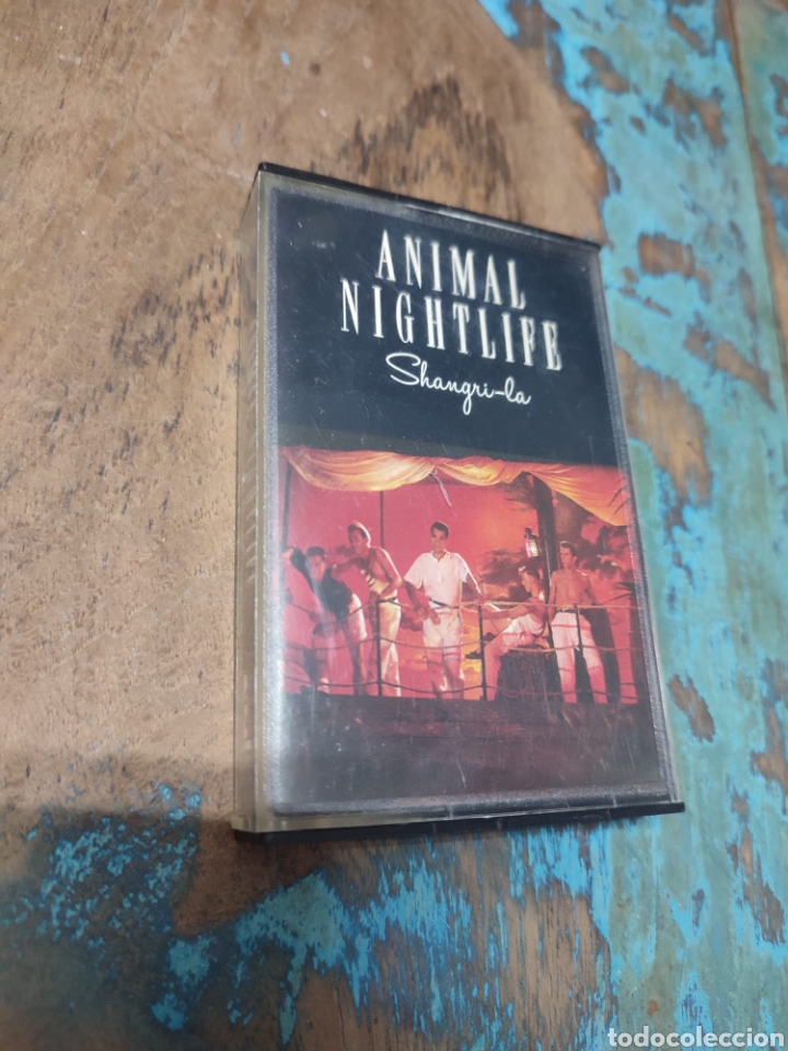 Cassetes antigas: Casete cassette Animal Nightlife. Shangri - la