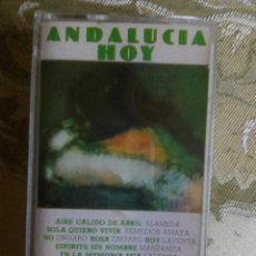 Casetes antiguos: ANDALUCÍA HOY (CAJA AHORROS CÁDIZ, 1981) CN.. ALAMEDA, LAVENTA, REMEDIOS AMAYA, ZINGARO... Lote 320309208