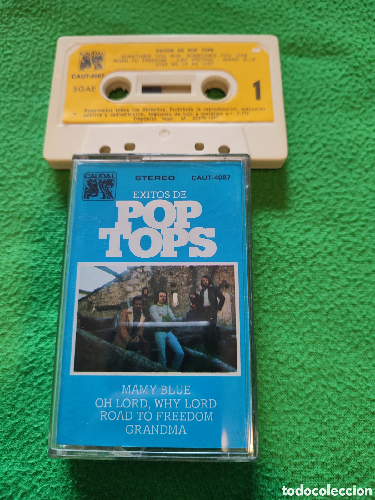 Casetes antiguos: Pop Tops - &Eacute;xitos de Pop Tops - Foto 1