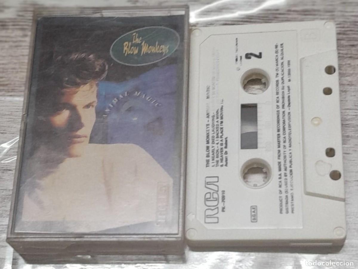 Casetes antiguos: THE BLOW MONKEYS - ANIMAL MAGIC - Foto 1