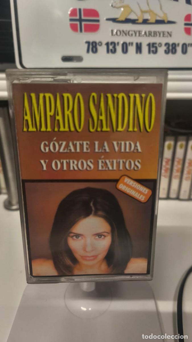 Casetes antiguos: Amparo Sandino - &Eacute;xitos (Cassette) - Foto 1