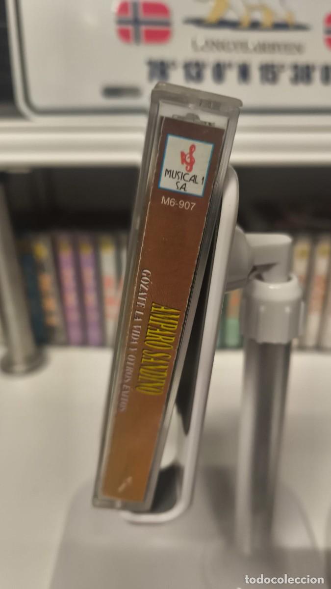 Casetes antiguos: Amparo Sandino - &Eacute;xitos (Cassette) - Foto 3
