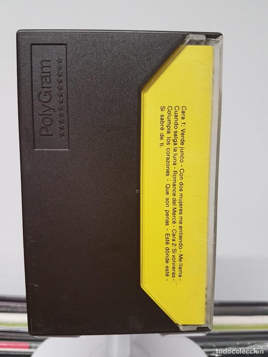 Casetes antiguos: Jos&eacute; Merc&eacute; - Verde Junco (Cassette) - Foto 2