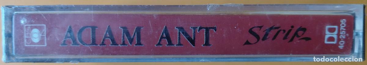 Casetes antiguos: ADAM ANT STRIP CBS 1983 PRECINTADA - Foto 3