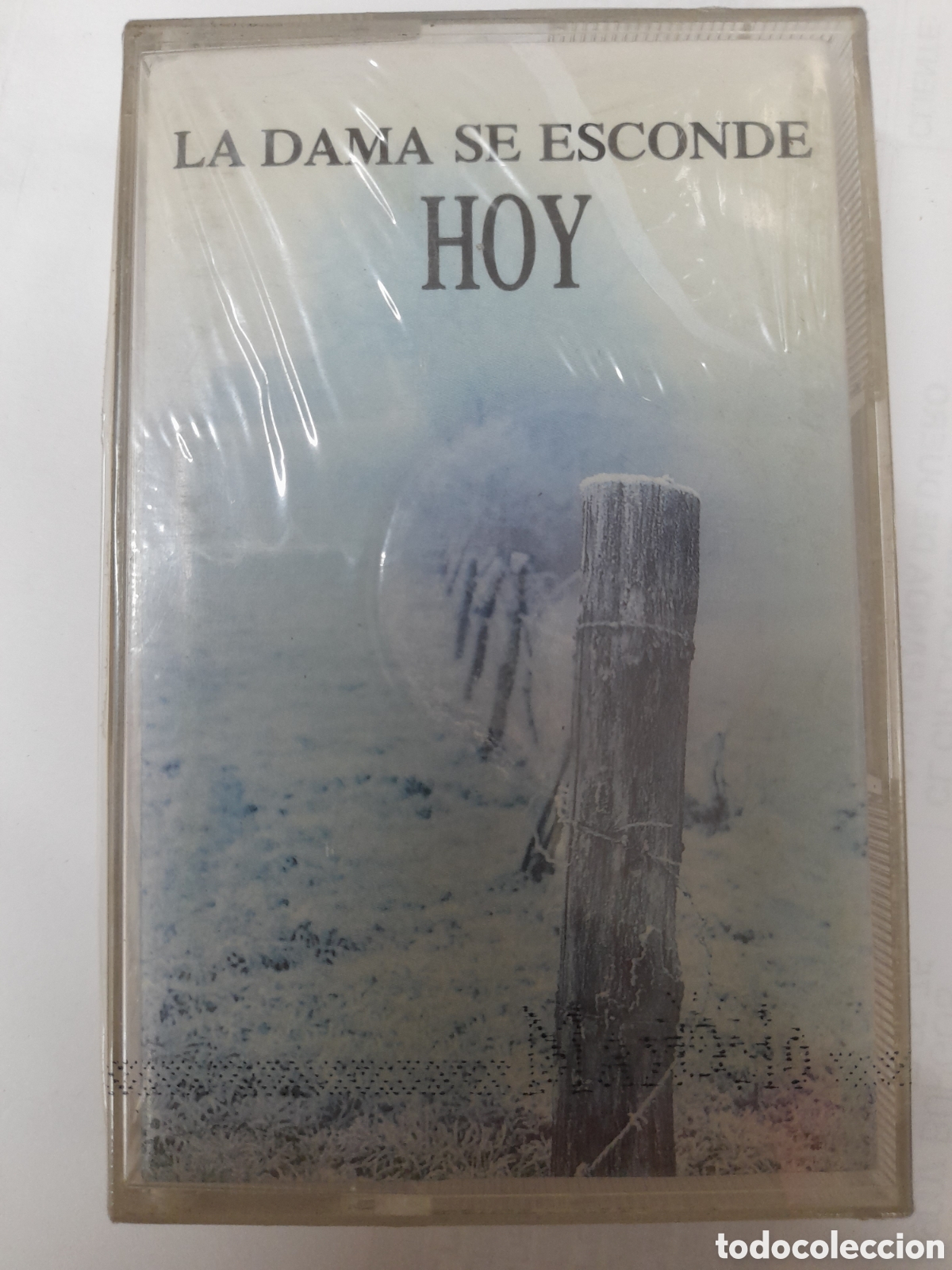 Casetes antiguos: LA DAMA SE ESCONDE. HOY.