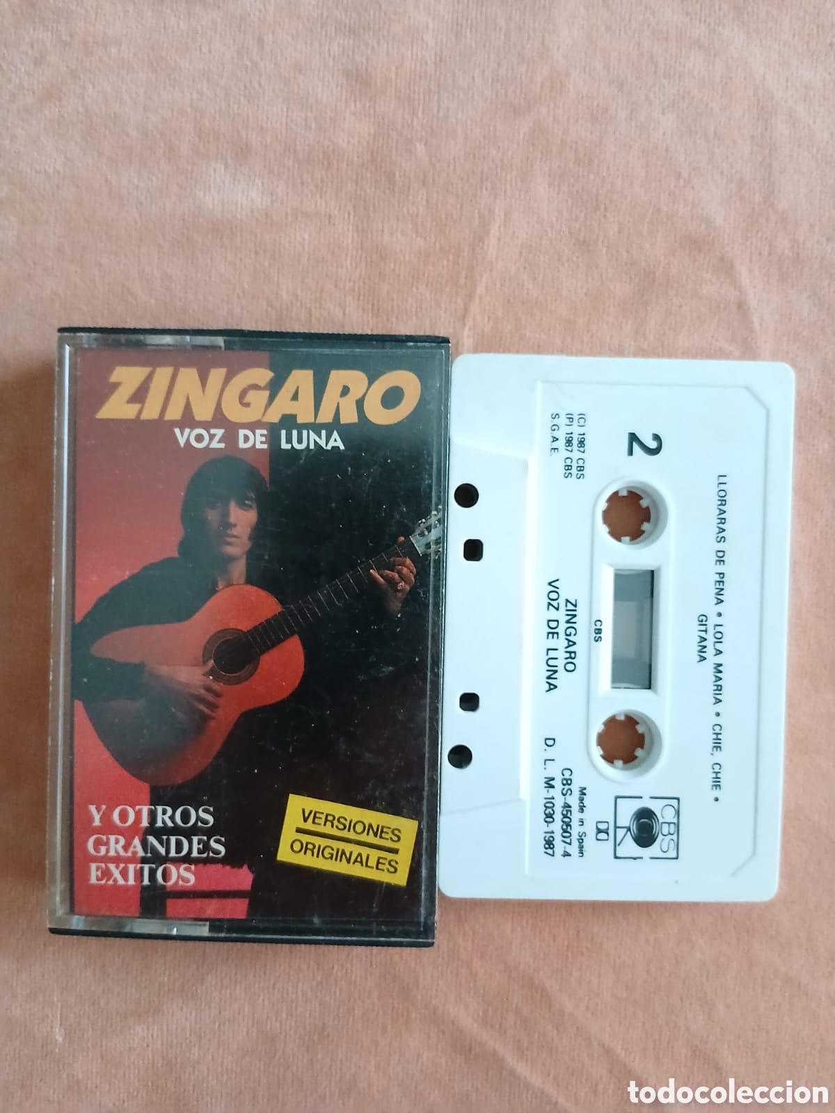 Casetes antiguos: Z&Iacute;NGARO &bull; VOZ DE LUNA Y OTROS GRANDES &Eacute;XITOS &bull; CASETE