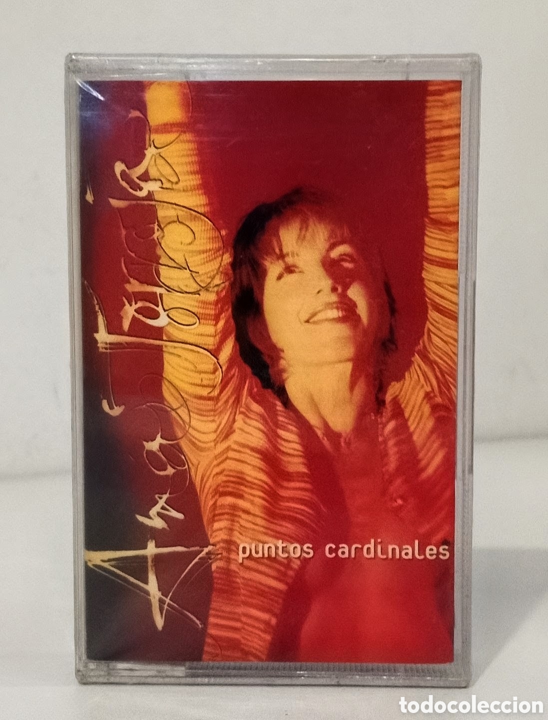 Casetes antiguos: ANA TORROJA (MECANO) - PUNTOS CARDINALES / CASSETTE PRECINTADO