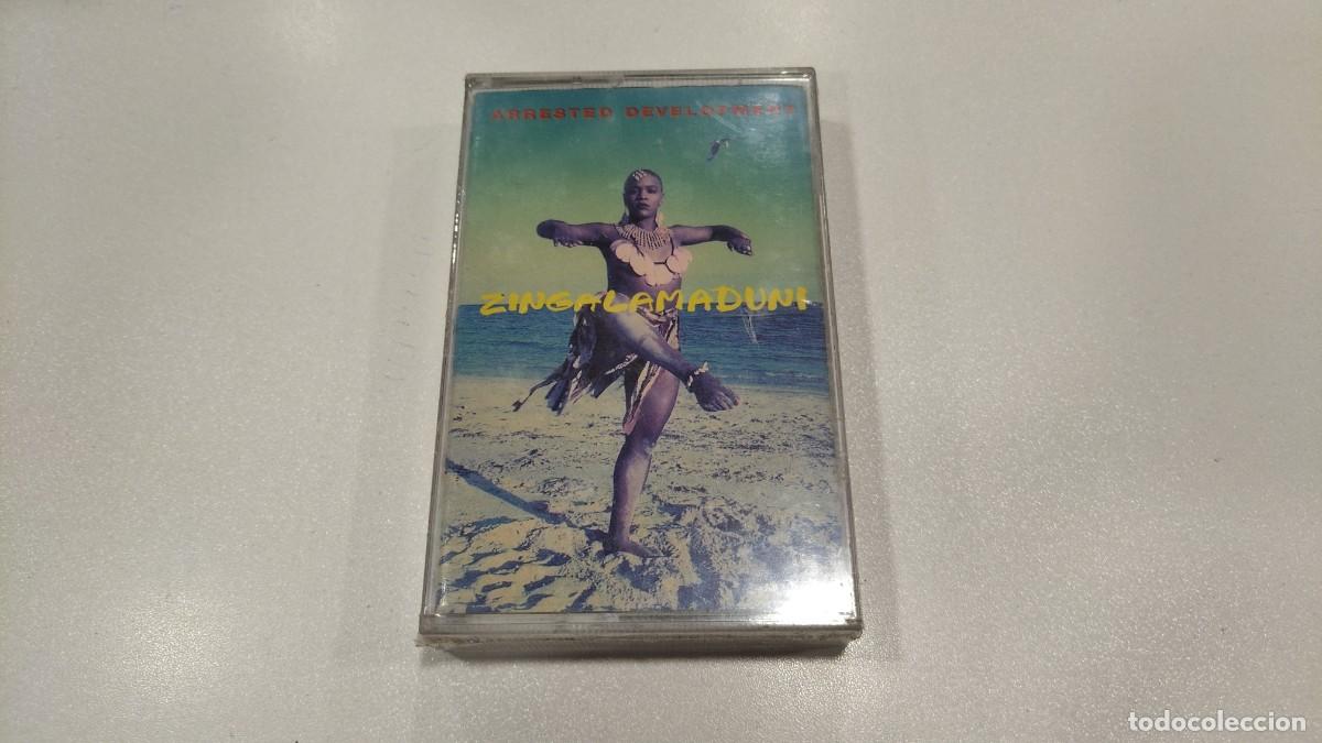 Casetes antiguos: 0526-CASSETTE-ARRESTED DEVELOPMENT ZINGALAMADUNI- PRECINTADO - Foto 1