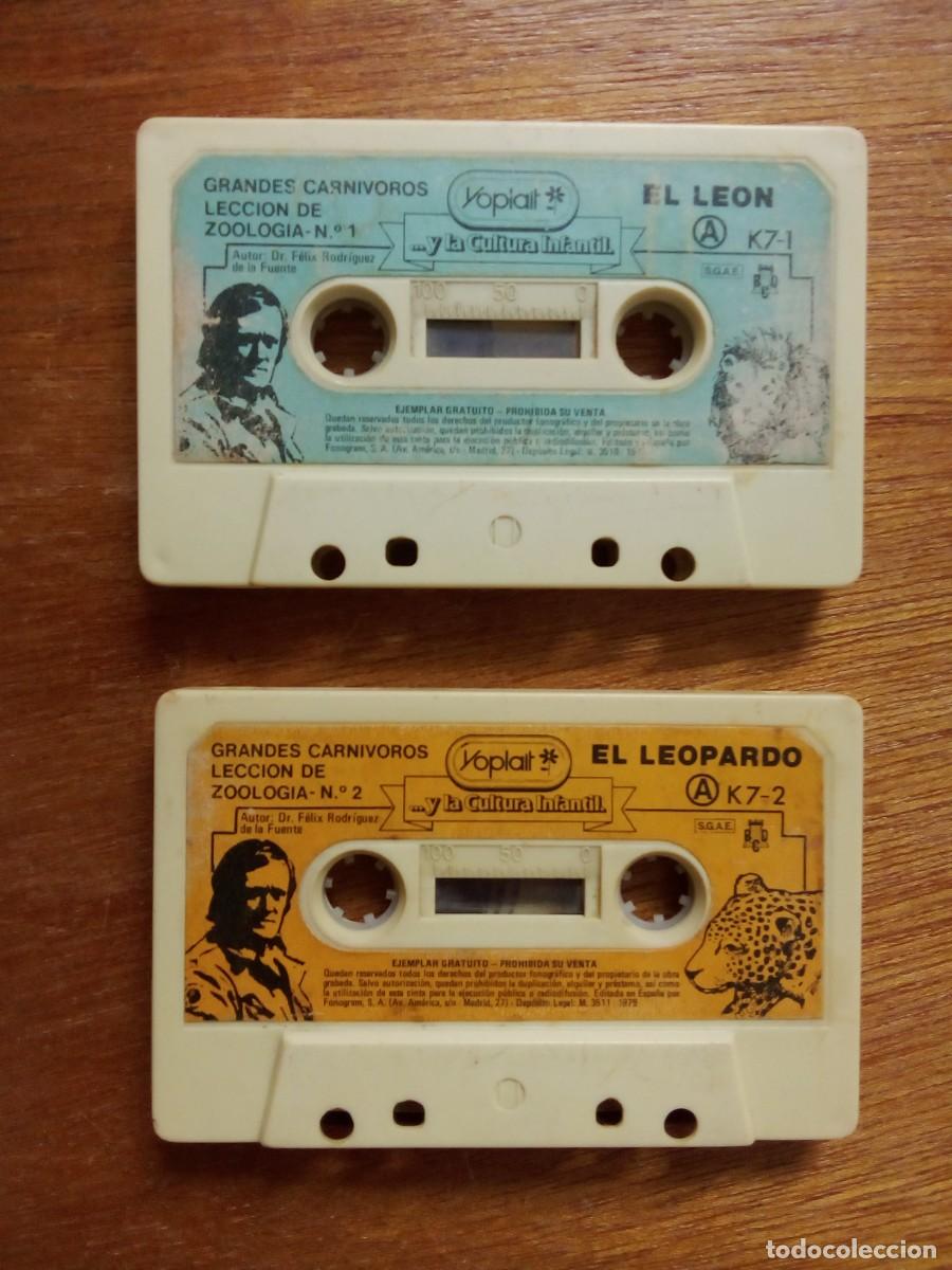 Casetes antiguos: CASETES YOPLAIT, FELIX RODRIGUEZ DE LA FUENTE, LEON, LEOPARDO, LECCION DE ZOOLOGIA 1 Y 2, CASSETTE