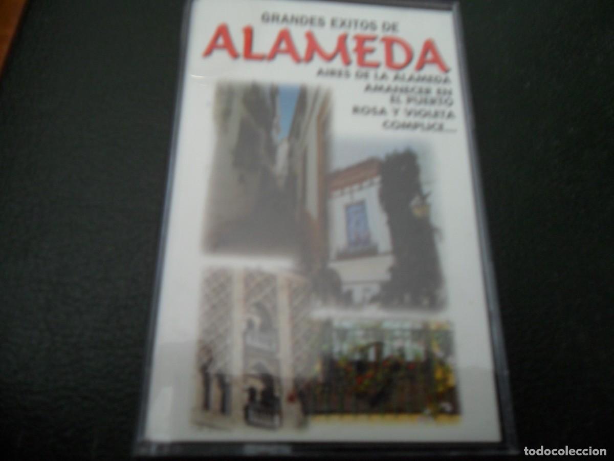 Old Cassettes: GRANDES EXITOS DE ALAMEDA