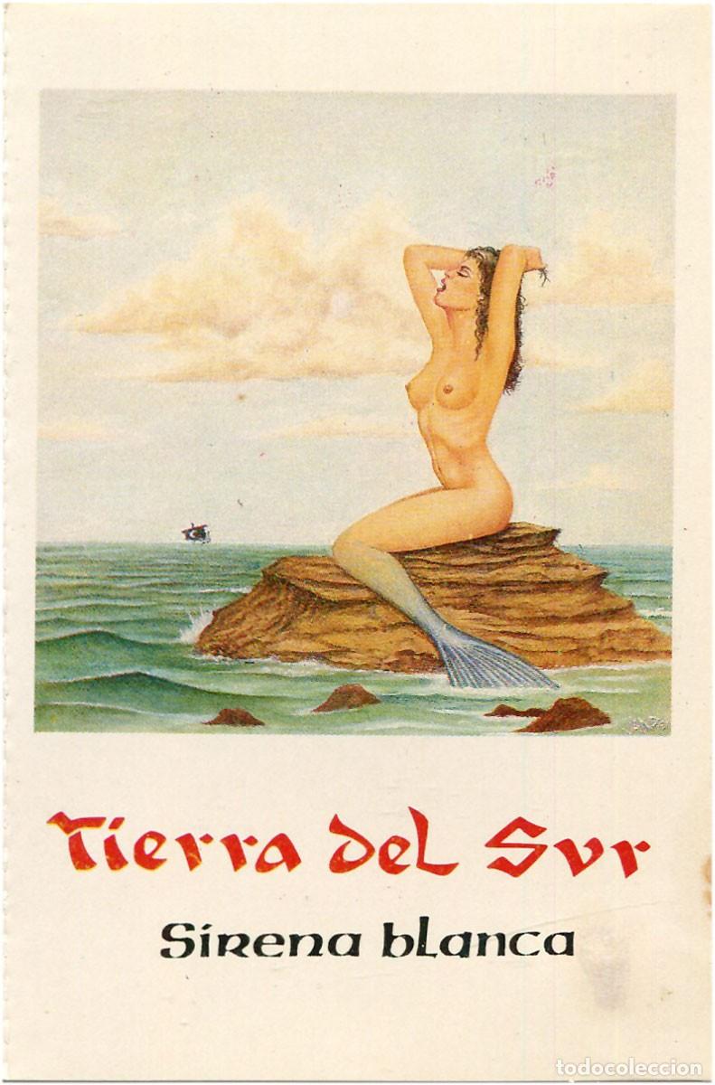 Casetes antiguos: Tierra Del Sur - Sirena Blanca - Cassette Spain 1989 - Justine C113 -EX/VG+