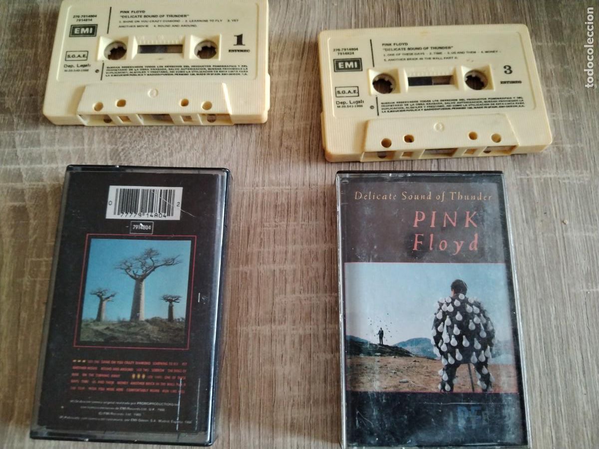 Casetes antiguos: Pink Floyd -delicate son of thunder