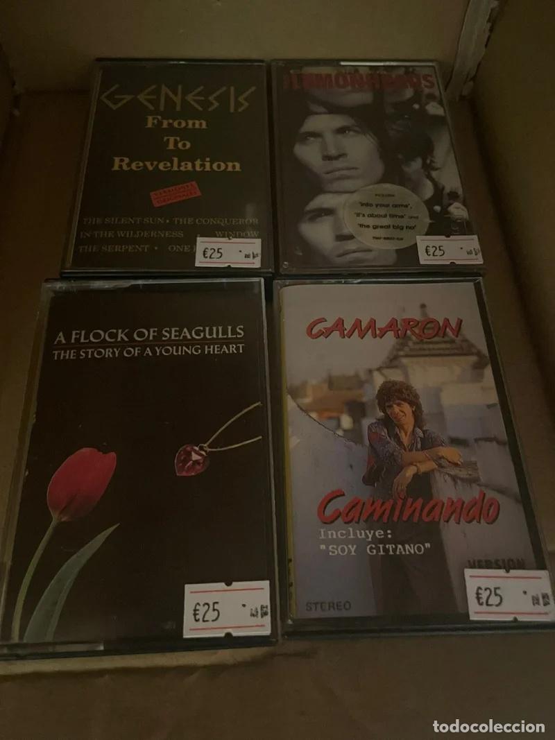 Casetes antiguos: Lote 4 Casetes: Genesis, Lemonheads, A Flock of Se