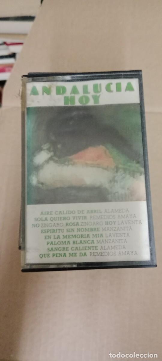 Casetes antiguos: ANDALUCIA HOY CASETE MUSICA G-RA14