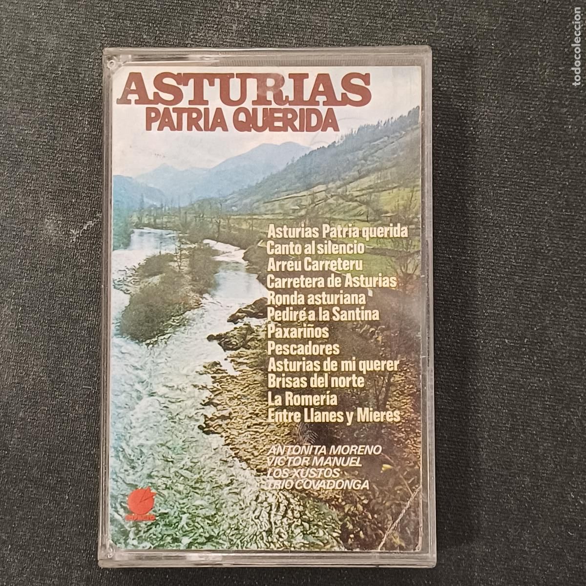 Casetes antiguos: ASTURIES PATRIA QUERIDA/CASETE.